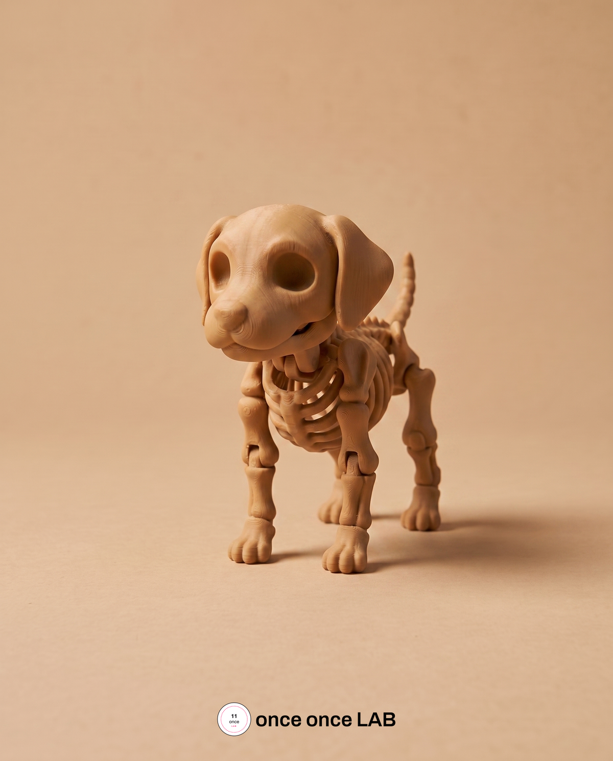 Perro Esqueleto Articulado — Juguete Antiestrés Coleccionable