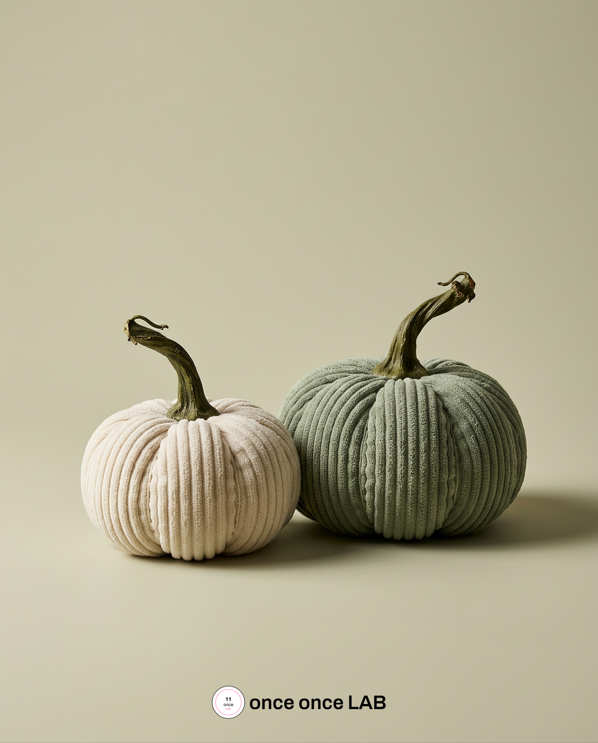 Calabazas Tejidas (Par) — Decoración de Otoño Textura Knit