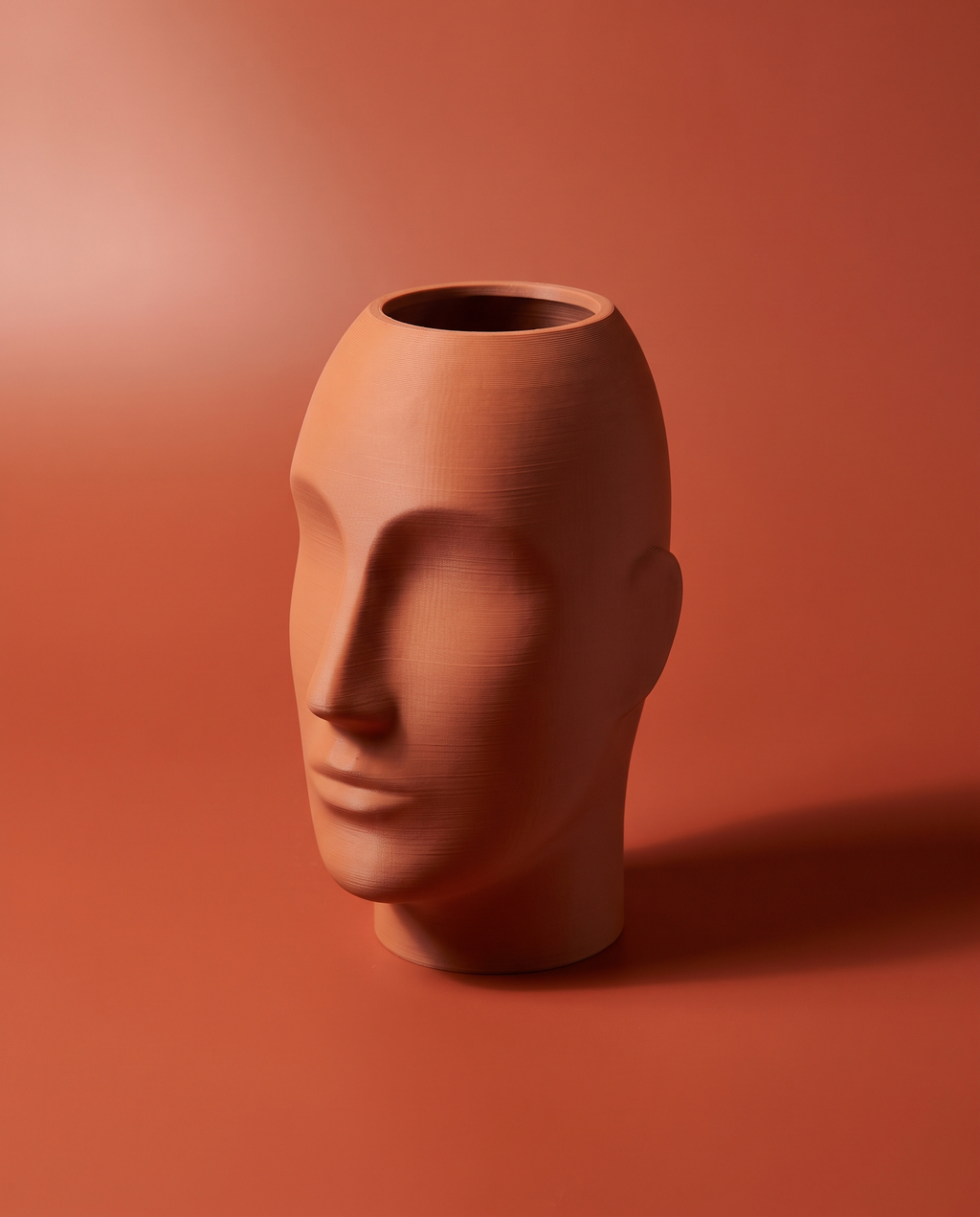 Face Vase — Jarrón Escultura de Cara