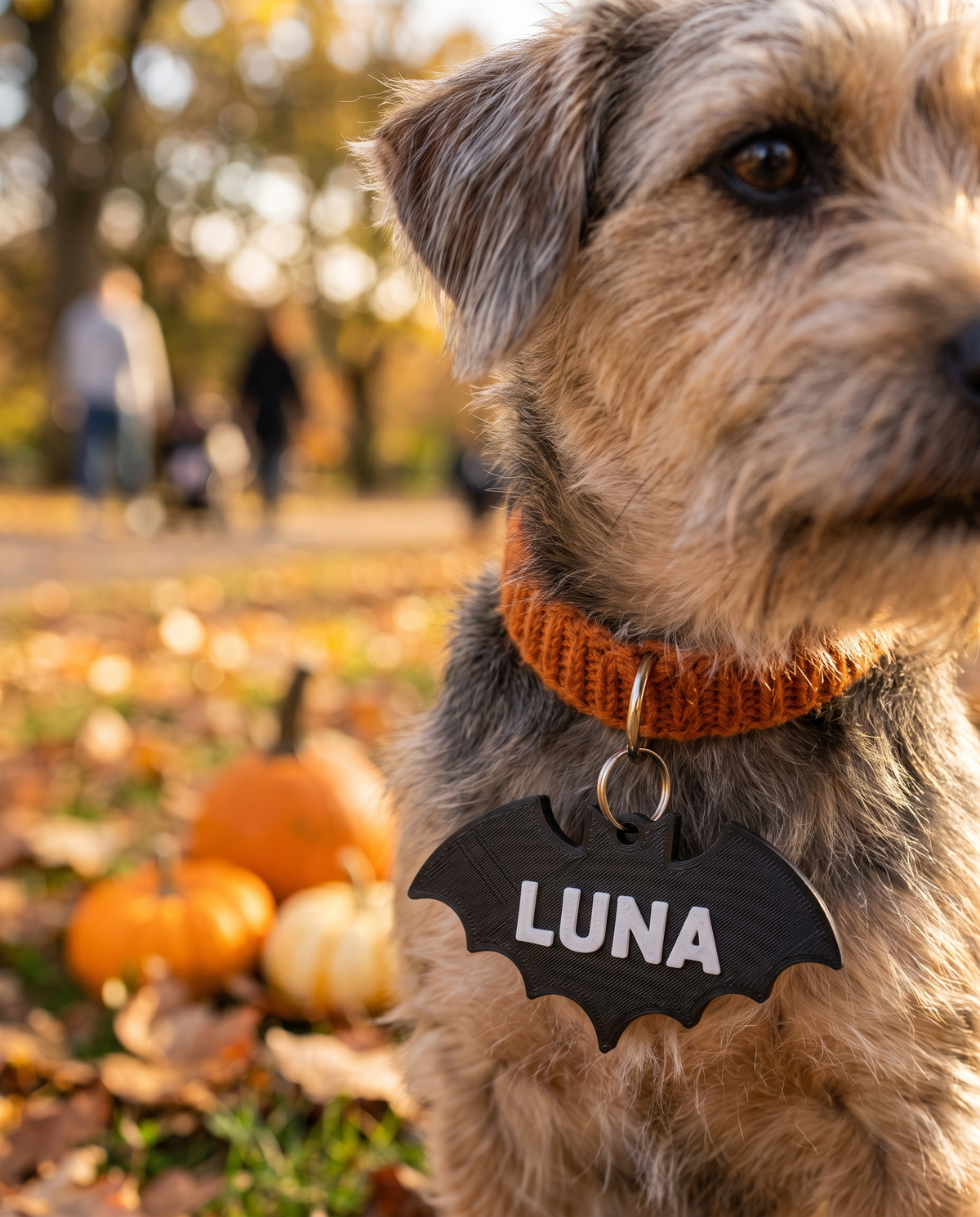 Tag de Collar Murciélago — Placa Personalizable de Halloween — once once LAB