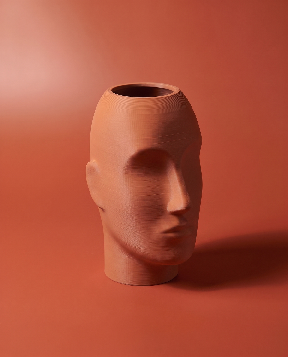 Face Vase — Jarrón Escultura de Cara